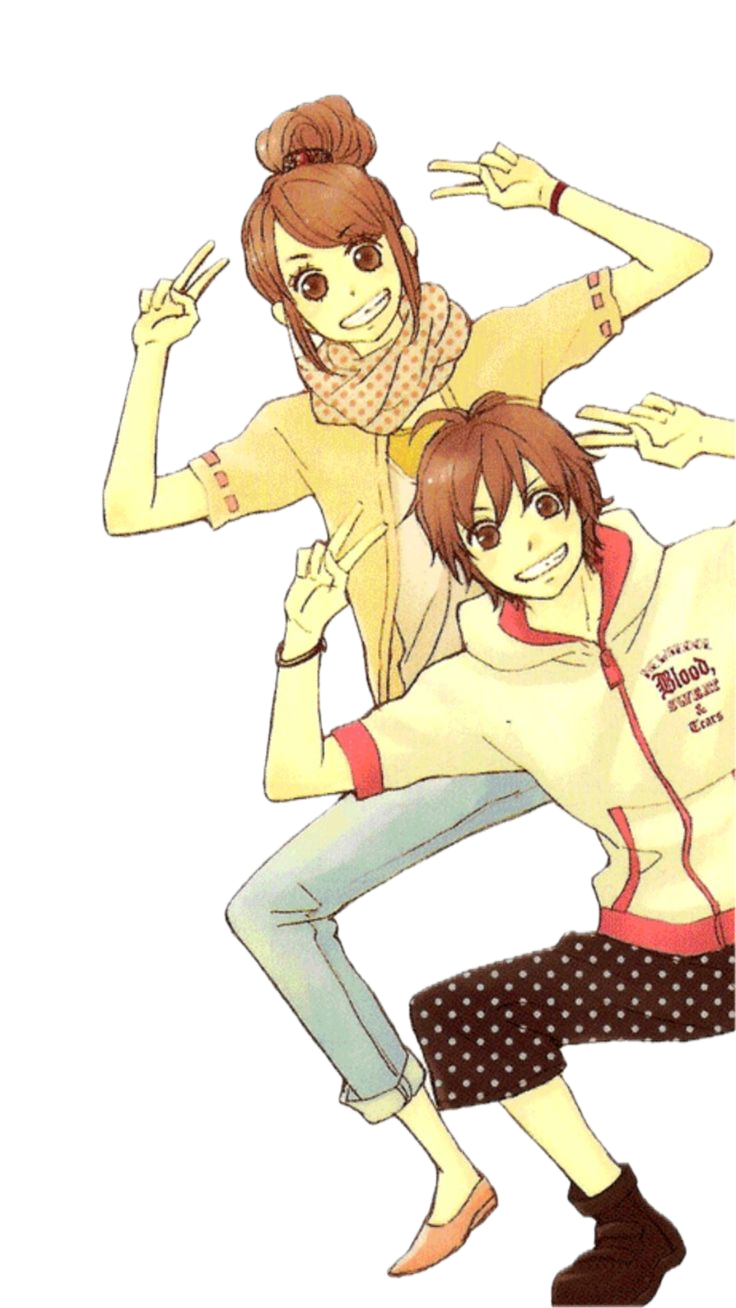 Ootani and Risa from Lovely Complex