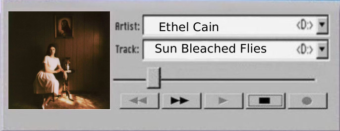 CD playlist photo of Sun bleached flies by ethel cain